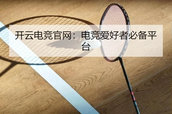 开云电竞官网：电竞爱好者必备平台