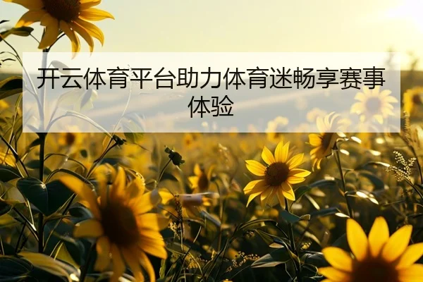 开云体育平台助力体育迷畅享赛事体验