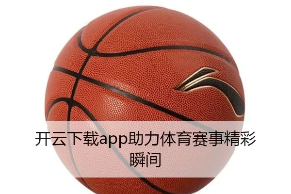 img_1780640987614_2_1_393.jpg